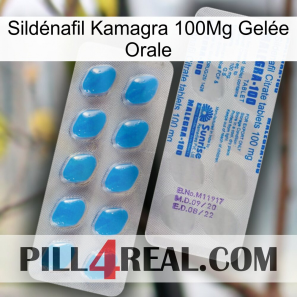 Sildénafil Kamagra 100Mg Gelée Orale new15.jpg